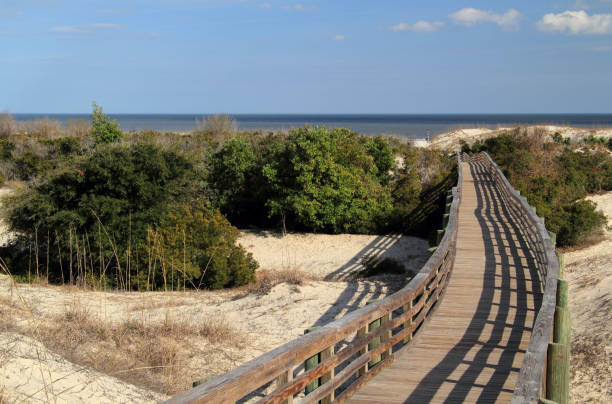 istock Cumberland Island National Seashore 1170181014