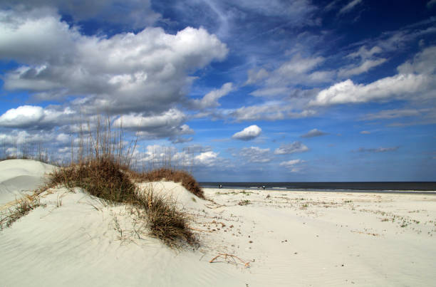 cumberland island national seashore - cumberland island imagens e fotografias de stock