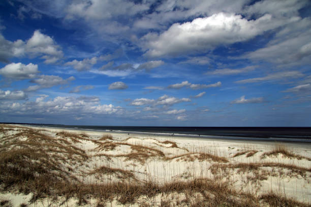 praia nacional do console de cumberland - cumberland island - fotografias e filmes do acervo