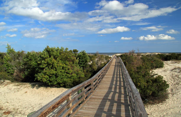 costa nazionale dell'isola di cumberland - cumberland island georgia island history foto e immagini stock