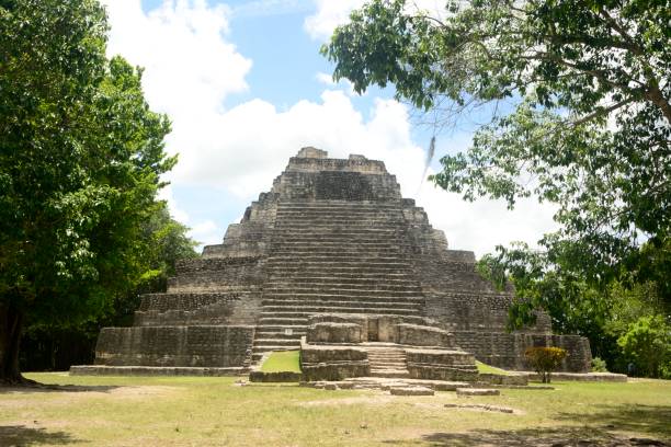 un tempio a chacchoben, un'antica città maya a quintana roo, messico - chacchoben foto e immagini stock