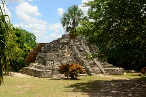 un bellissimo tempio a chacchoben, un'antica e dimenticata città maya a quintana roo, in messico - chacchoben foto e immagini stock