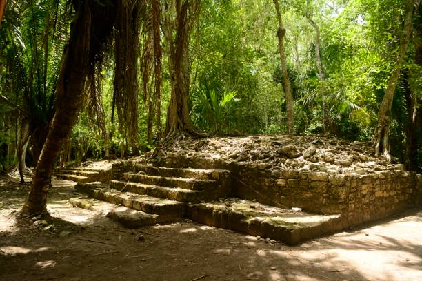 plataform a chacchoben, un'antica città archeologica maya a quintana roo, messico - chacchoben foto e immagini stock