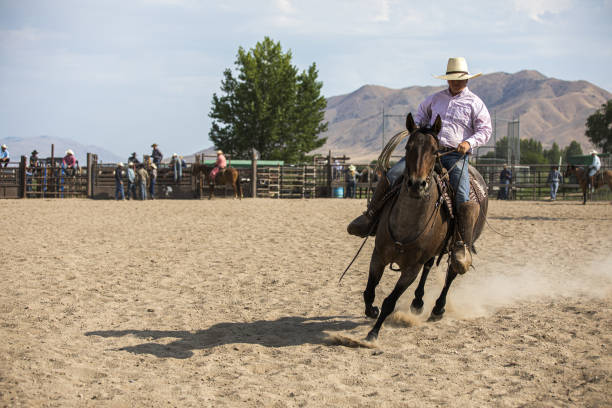 kowboj jazda w rodeo arena - rein saddle cowboy hat hat zdjęcia i obrazy z banku zdjęć