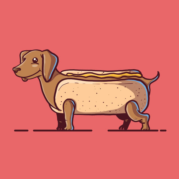 wiener pies przebrany za ilustrację wektora hot dog. - dachshund stock illustrations