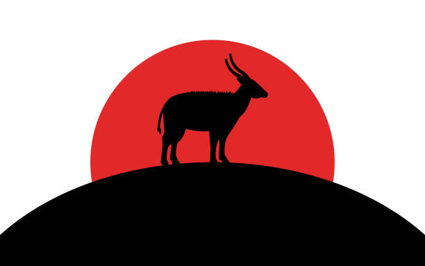 Bongo antelope icon, african animal, silhouette art image, vector illustration isolated on white background Bongo icon, african animal, silhouette art image, vector illustration isolated on white background antelope bongo stock illustrations
