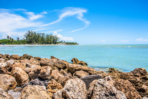 ilha sanibel - fort myers - fotografias e filmes do acervo