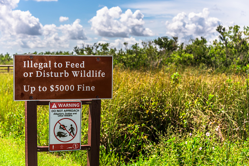 Illegal to feed wildlife sign