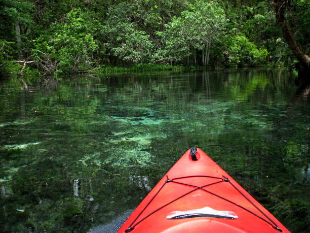 istock Seven Sisters Spring on the Chassahowitzka River, Florida. 1170191153