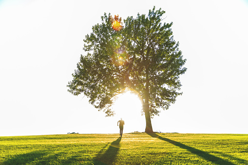 Midwest Nature Park Mature Adult Male Running Into The Sunset Under a Large Tree (Shot with Canon 5DS 50.6mp photos professionally retouched - Lightroom / Photoshop - original size 5792 x 8688 downsampled as needed for clarity and select focus used for dramatic effect)