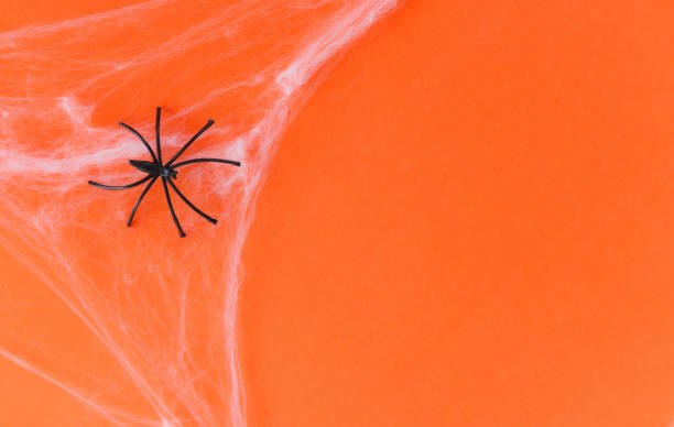 istock halloween background with spider web and black spider on orange decorations holidays festive for party accessories object 1170191316