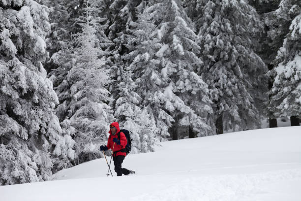 istock Hiker makes his way on slope with new-fallen snow 1170192202