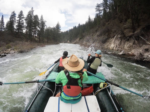 Exciting day on the river with girlfriends. Strong, women white water rafting on Truckee River. Strong, independent women on a rafting trip rowing in big rapids. Friends in their 40s rafting the Truckee River. truckee river photos stock pictures, royalty-free photos & images