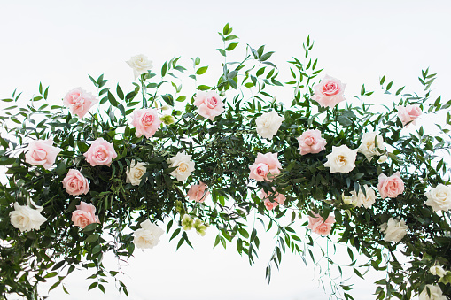 Wedding ceremony arch arrangement decoration. Greens and roses in pink pastel color. Isolated on white background.