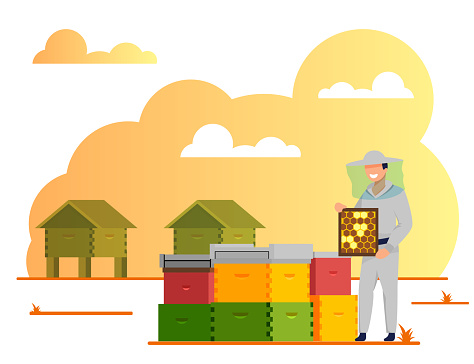 Beekeeper Working In Apiary, Beekeeping Industry, Hobby. Character in Bee Protection Suit and Hat Caring of Bees and Collecting Honey from Honeycombs. Organic Food Cartoon Flat Vector Illustration
