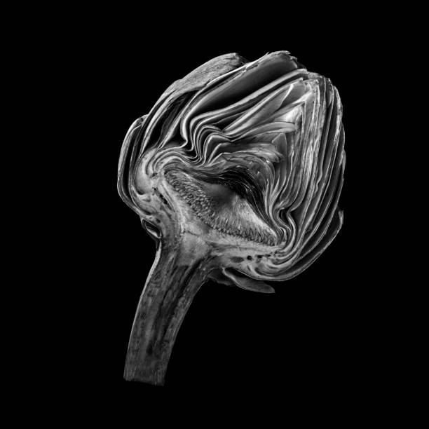 This is a studio photograph of a black and white artichoke on a black background. The composition is a square, The texture of the layers is elegant and could work as an art peice