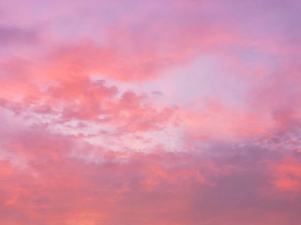 Photo of Pink cotton candy sky