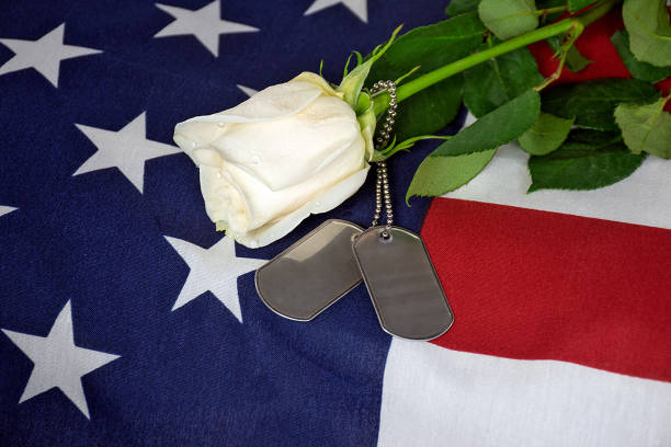 close up of single white rose and military dog tags on American flag