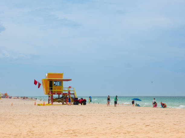 persone che lo prendono facilmente vicino a un gabbiano della torre del bagnino sulla spiaggia sud - titling foto e immagini stock