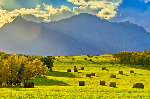 Farm in the rocky mountain foothills of rural Alberta Canada