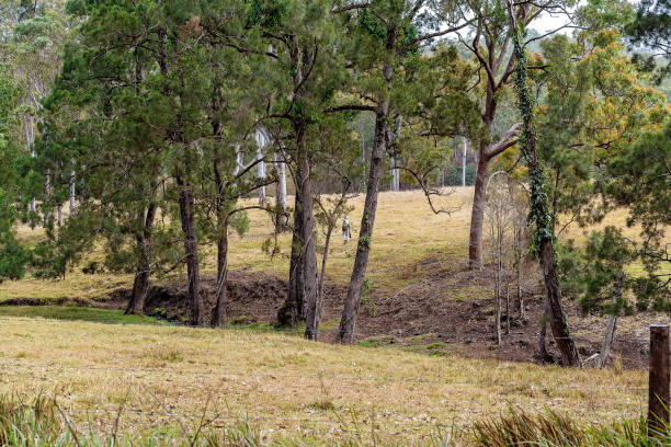 istock Birdwatching Photographer In A Field 1170206456