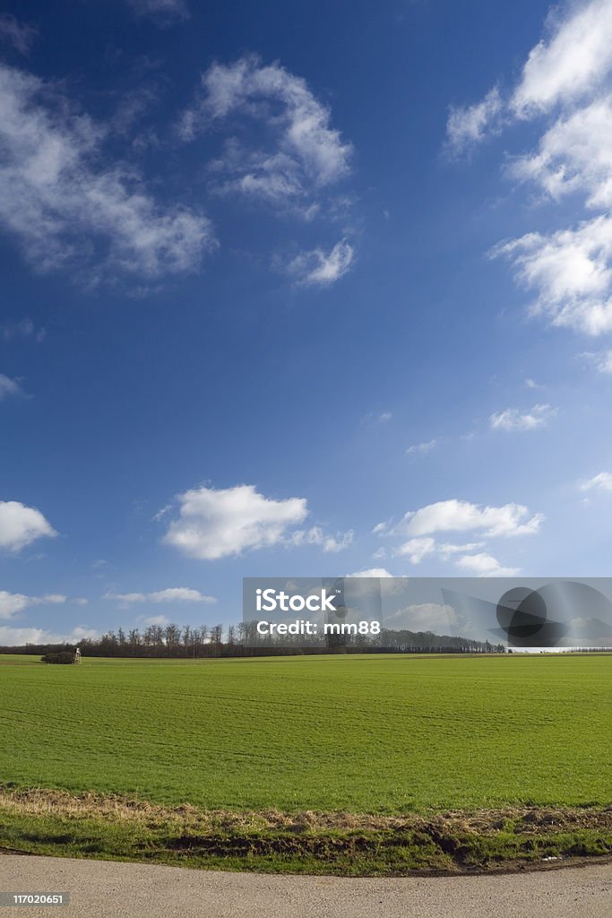 fields and meadow Agriculture landscape with fields and meadow, spring, Saarland/Germany Agricultural Field Stock Photo