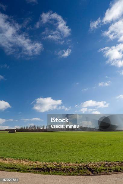 Fields And Meadow Stock Photo - Download Image Now - Agricultural Field, Agriculture, Asphalt