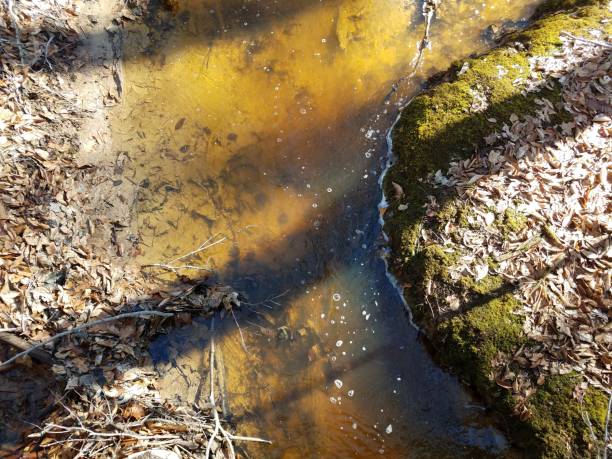 istock water or stream with bubbles and moss and mud 1170207638