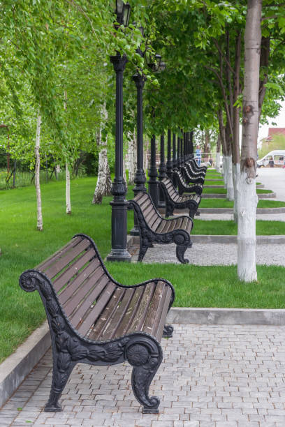 istock Benches in a park at summer 1170207727