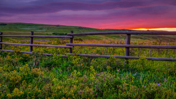 Early Sunrise By The Barn Early morning and the sky was changing colors and soon after, the rain started and we had to return to the car for warmth and coverage. rail fence stock pictures, royalty-free photos & images