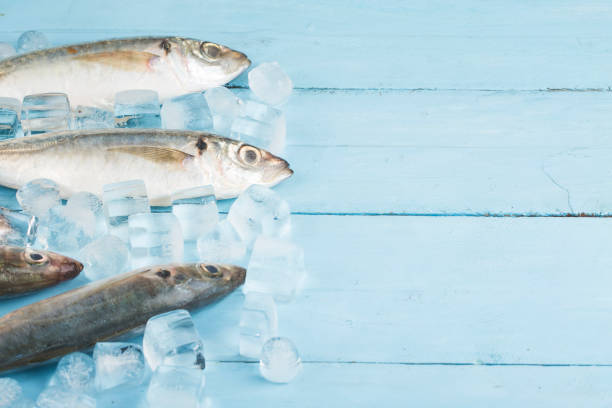 istock Fish mackerelraw mackerel with and spices 1170216532