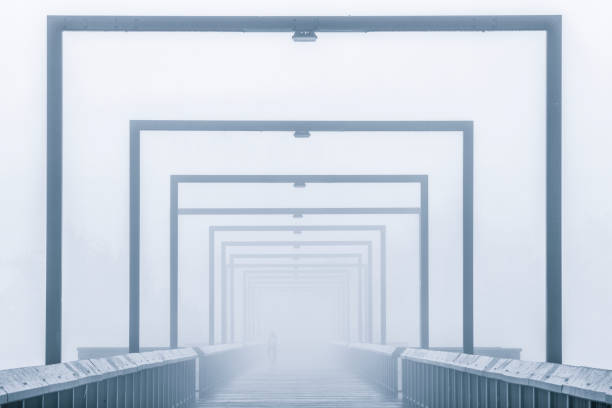 The A. Murray McKay Bridge dissapears into a fog bank.