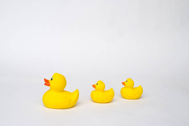istock Yellow rubber duck isolated on white background 1170222059