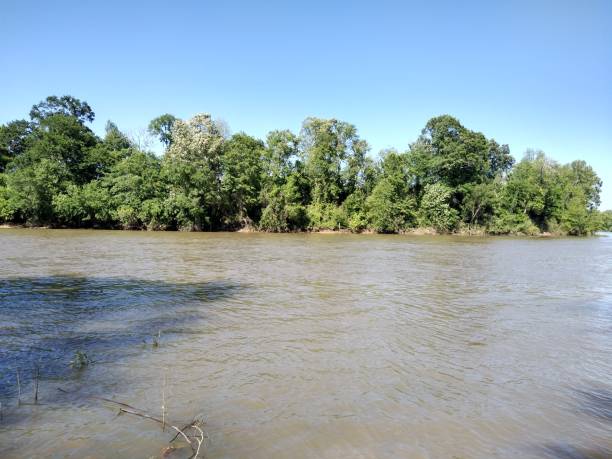 istock Black Warrior River from Moundville Alabama 1170222834