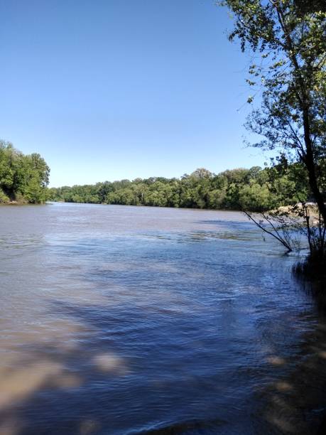 istock Black Warrior River from Moundville Alabama 1170222844