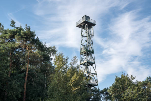 istock watchtower in the calmthout heath 1170222965