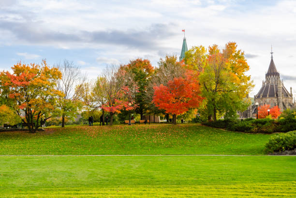 herbstfarben im major es hill park in ottawa, kanada - autumn clock roof colors stock-fotos und bilder