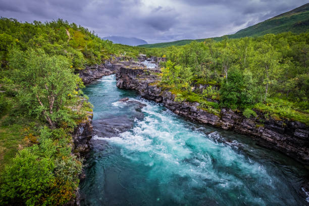 Cascading icy waterfall in rocky Abiskojåkka river canyon with lush green foliage, Abisko National Park, Swedish Lappland,