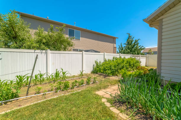 istock Home backyard with various vibrant green plants under blue sky on a sunny day 1170228192