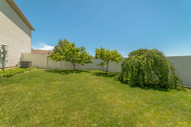 istock Vivid greenery at the spacious yard of a home under blue sky on a sunny day 1170229016