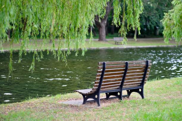 istock park bench on riverbank under green willow tree. 1170232231