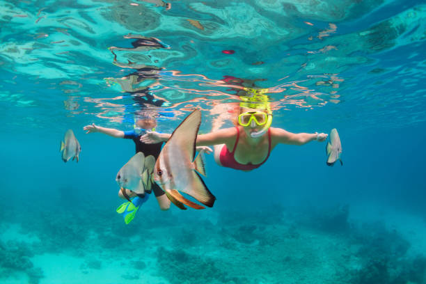 Mother, kid in snorkeling mask dive underwater with tropical fishes Happy family - mother, kid in snorkeling mask dive underwater, explore tropical fishes Platax ( Batfish). Travel lifestyle, beach adventure, swimming activity on summer with child. Focus on fishes batfish platax stock pictures, royalty-free photos & images
