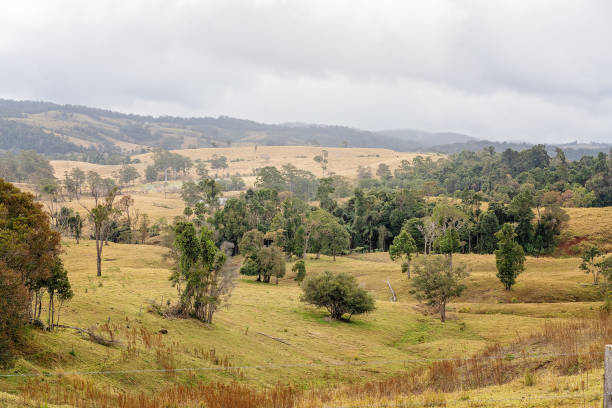 istock Australian Dairy Farm Pasture 1170232965