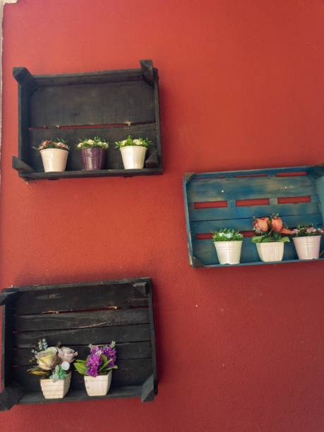 istock Flower in pot on red wall 1170233251