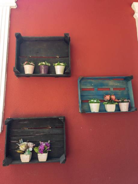 istock Flower in pot on red wall 1170233262