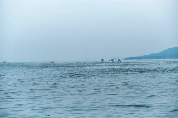 istock Small fishing boats 1170234539
