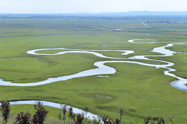 istock Rural environment with vast green field or valley, pathways, river and forest on background 1170235277