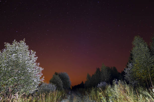 istock Country road and starry sky 1170237602