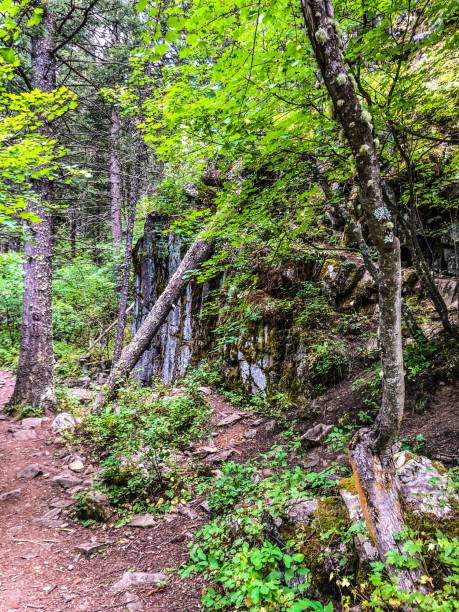 istock Montana Mountain Trail 1170237631
