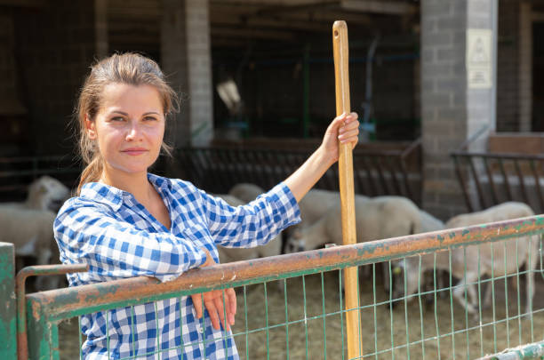 istock Successful woman farmer in enclosure with sheeps 1170239959